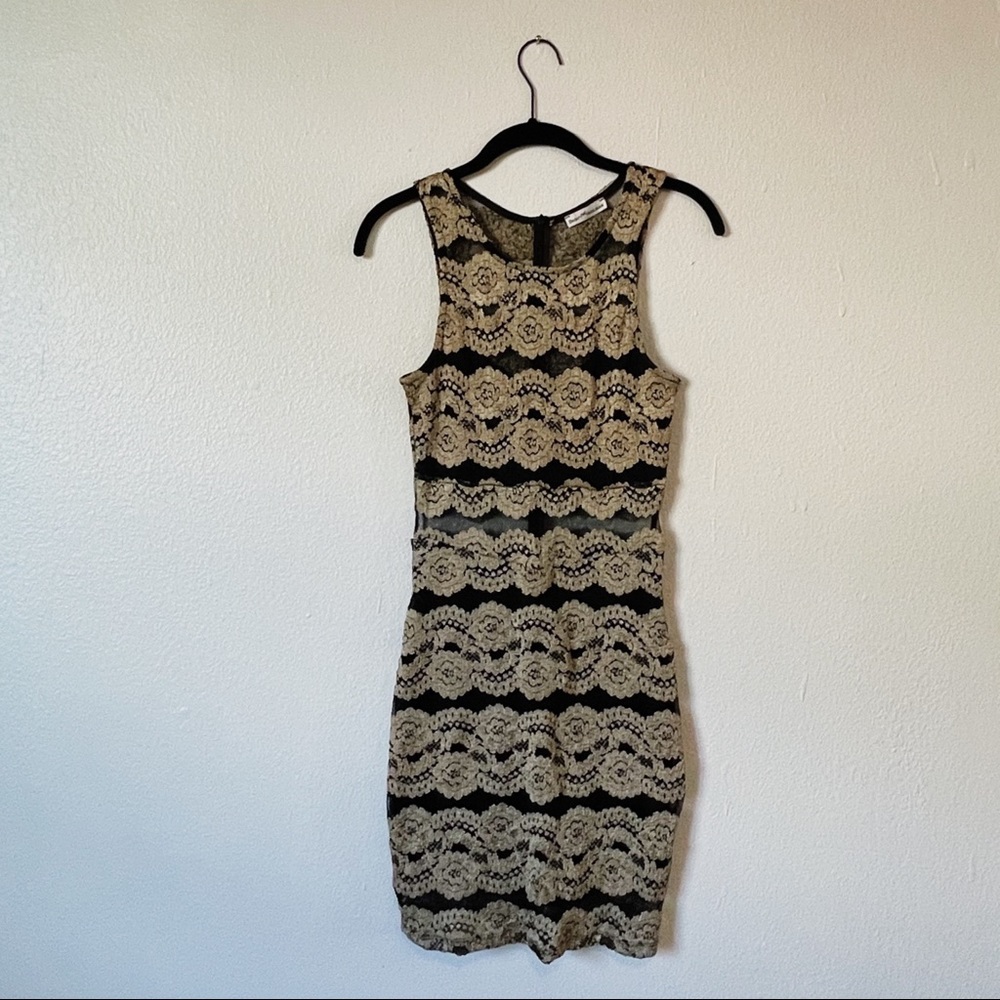 Dainty Hooligan Mesh Dress